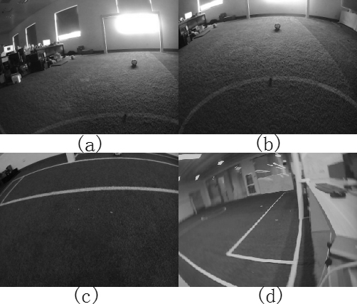 A Method for Extracting White Lines in Green Fields under Complex Light Conditions