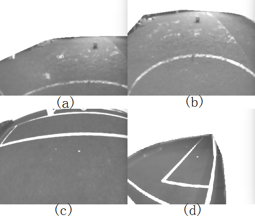 A Method for Extracting White Lines in Green Fields under Complex Light Conditions