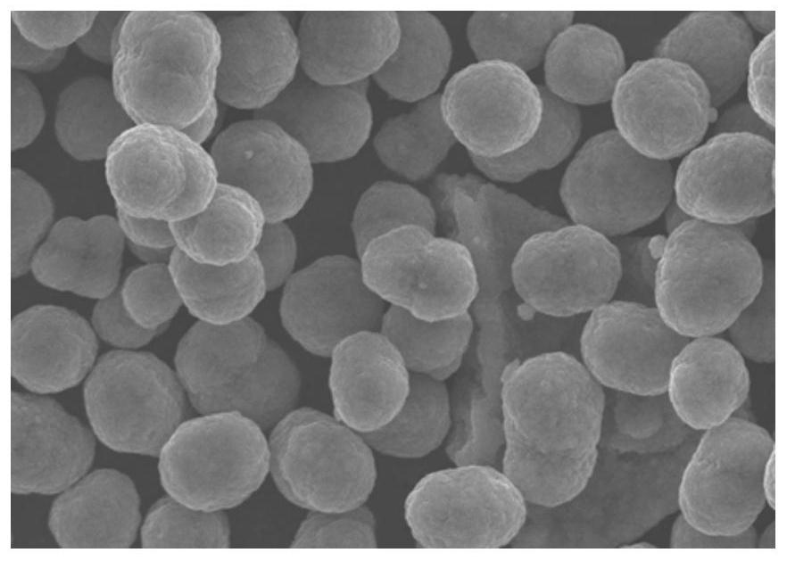 Precursor of positive electrode material, positive electrode material and preparation method thereof, lithium ion battery positive electrode, lithium ion battery and electrical equipment