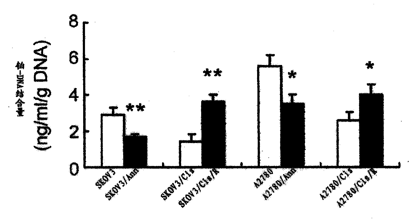 Method for detecting expression level of annexin A3