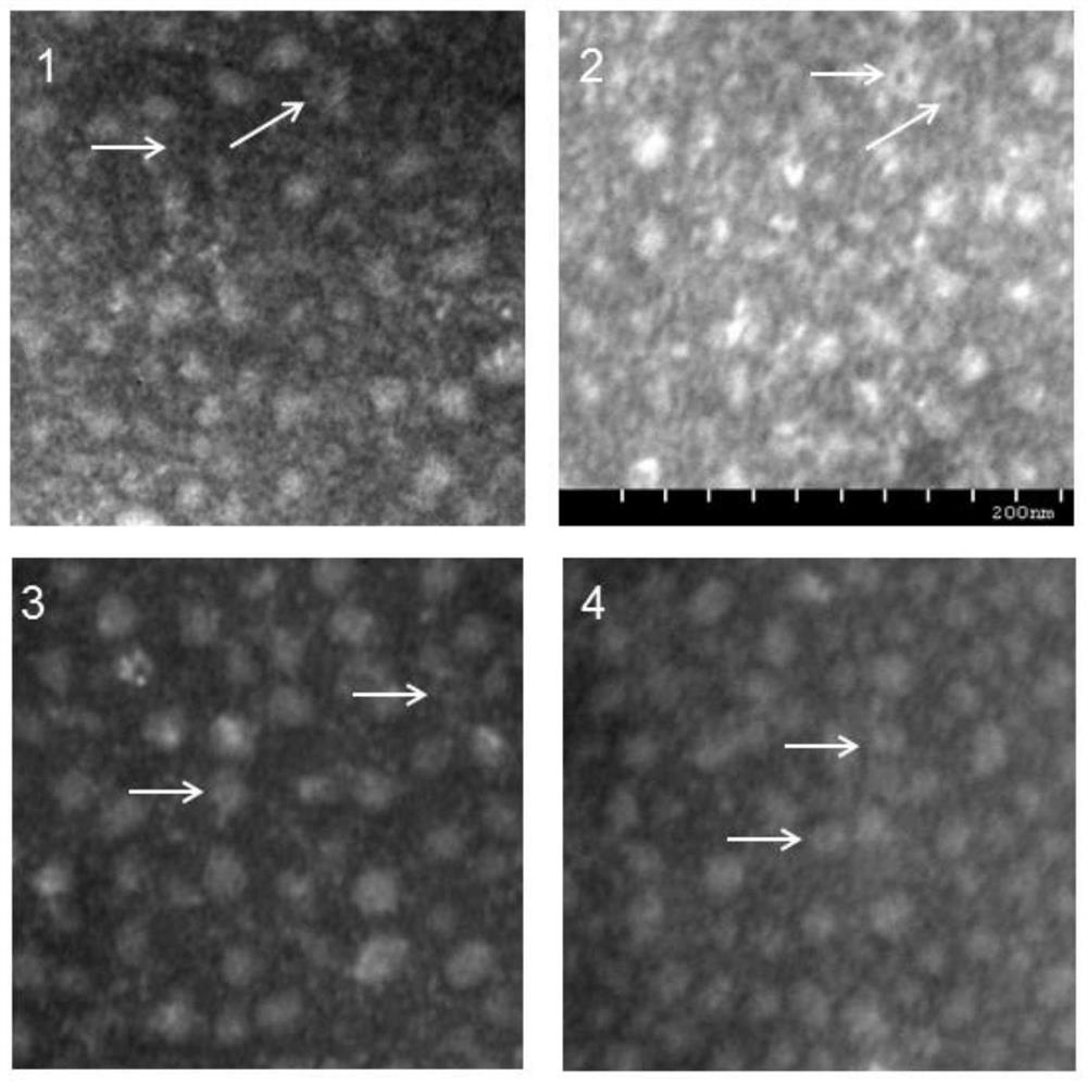 Application of rotavirus non-structural protein 4 in improving immune function of recombinant rotavirus subunit vaccine