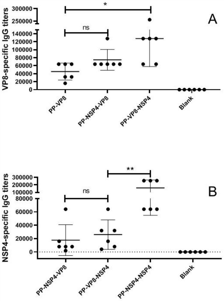 Application of rotavirus non-structural protein 4 in improving immune function of recombinant rotavirus subunit vaccine