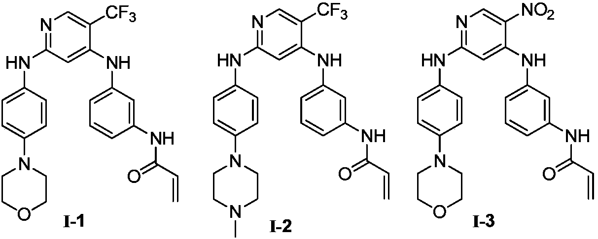 Diphenylaminopyridine type anti-tumor compound as well as preparation method and application thereof