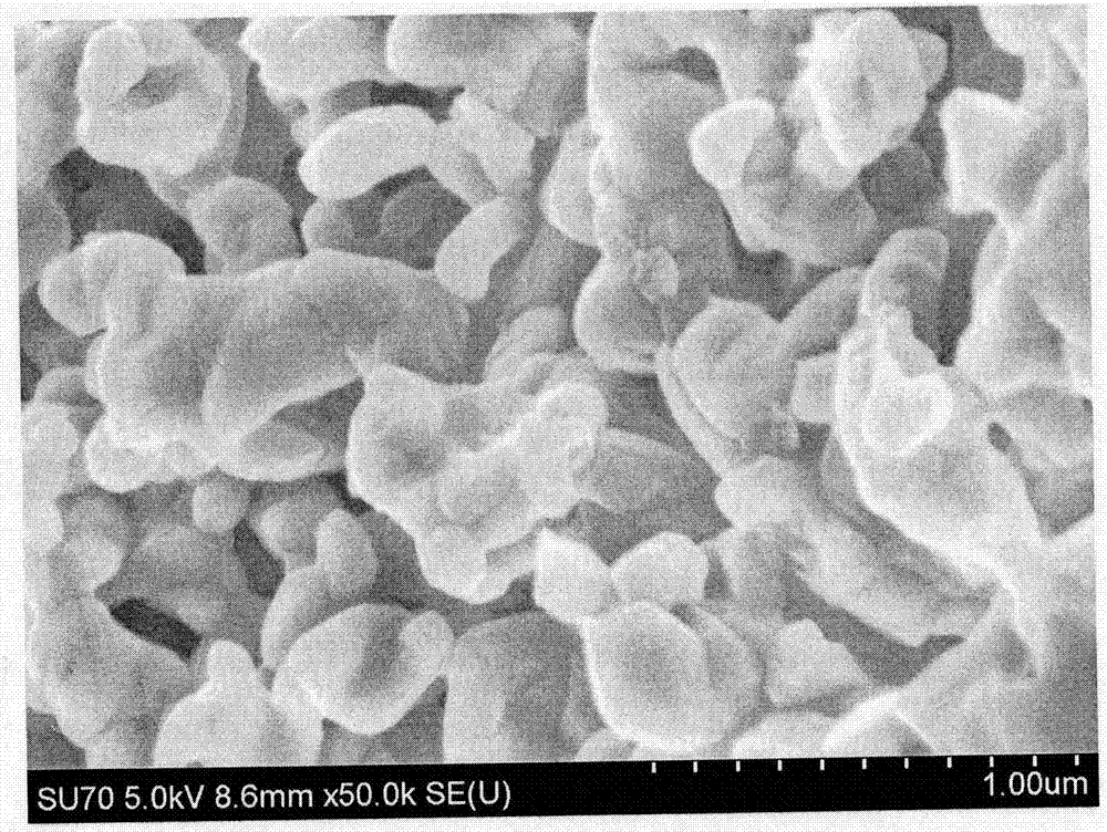 Perovskite oxide MgTaO3 magnesium ion battery anode material synthesized by template and preparation method of perovskite oxide MgTaO3 magnesium ion battery anode material