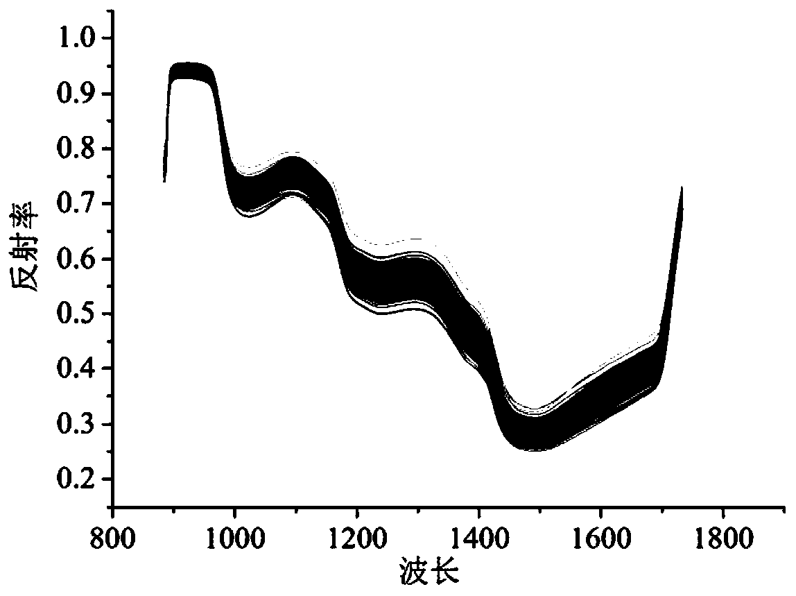 Prediction method of titratable acid content in mango after impact injury based on hyperspectral