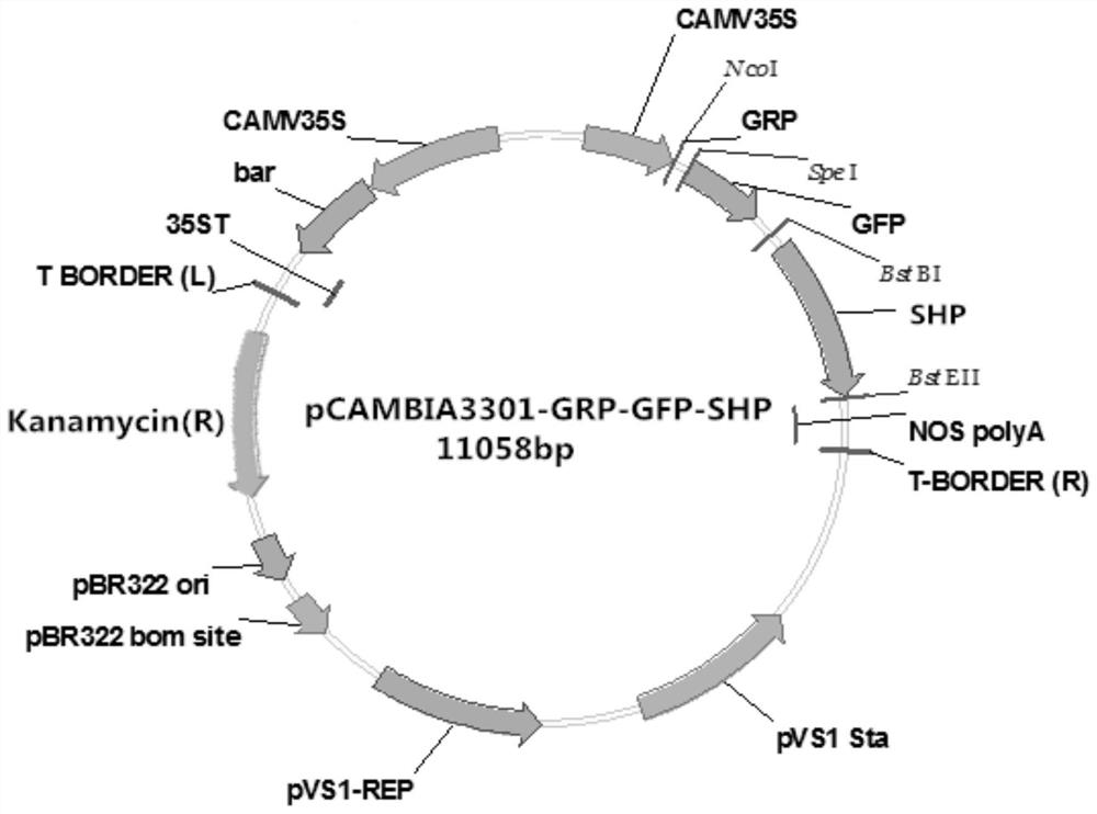 A method for degrading tobacco stalk lignin