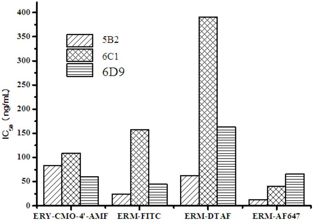 Fluorescence polarization immunoassay method for detection of erythromycin