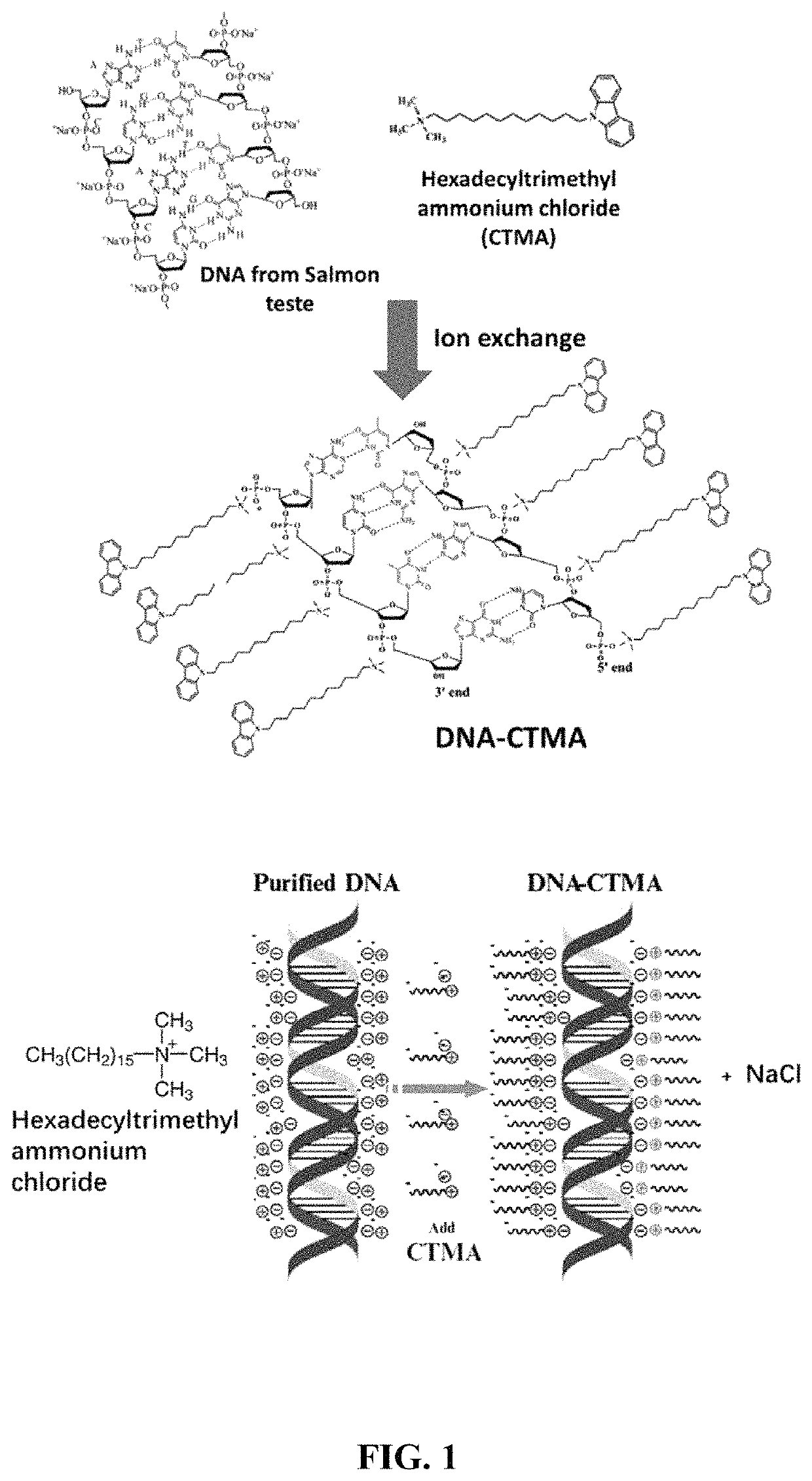 Bio-molecular engineering strategy for efficient perovskite materials and devices