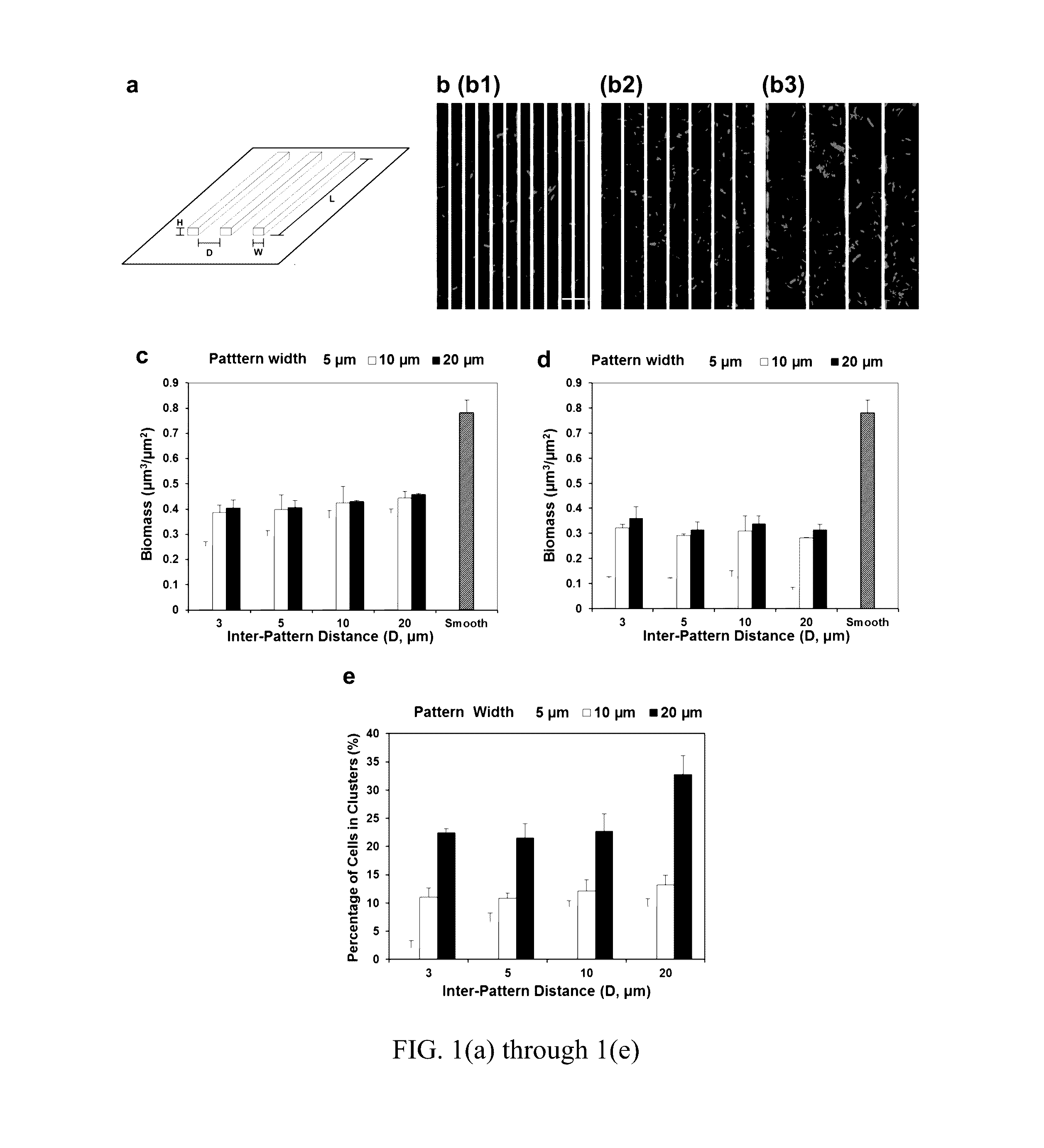 Antifouling urinary catheters with shape-memory topographic patterns