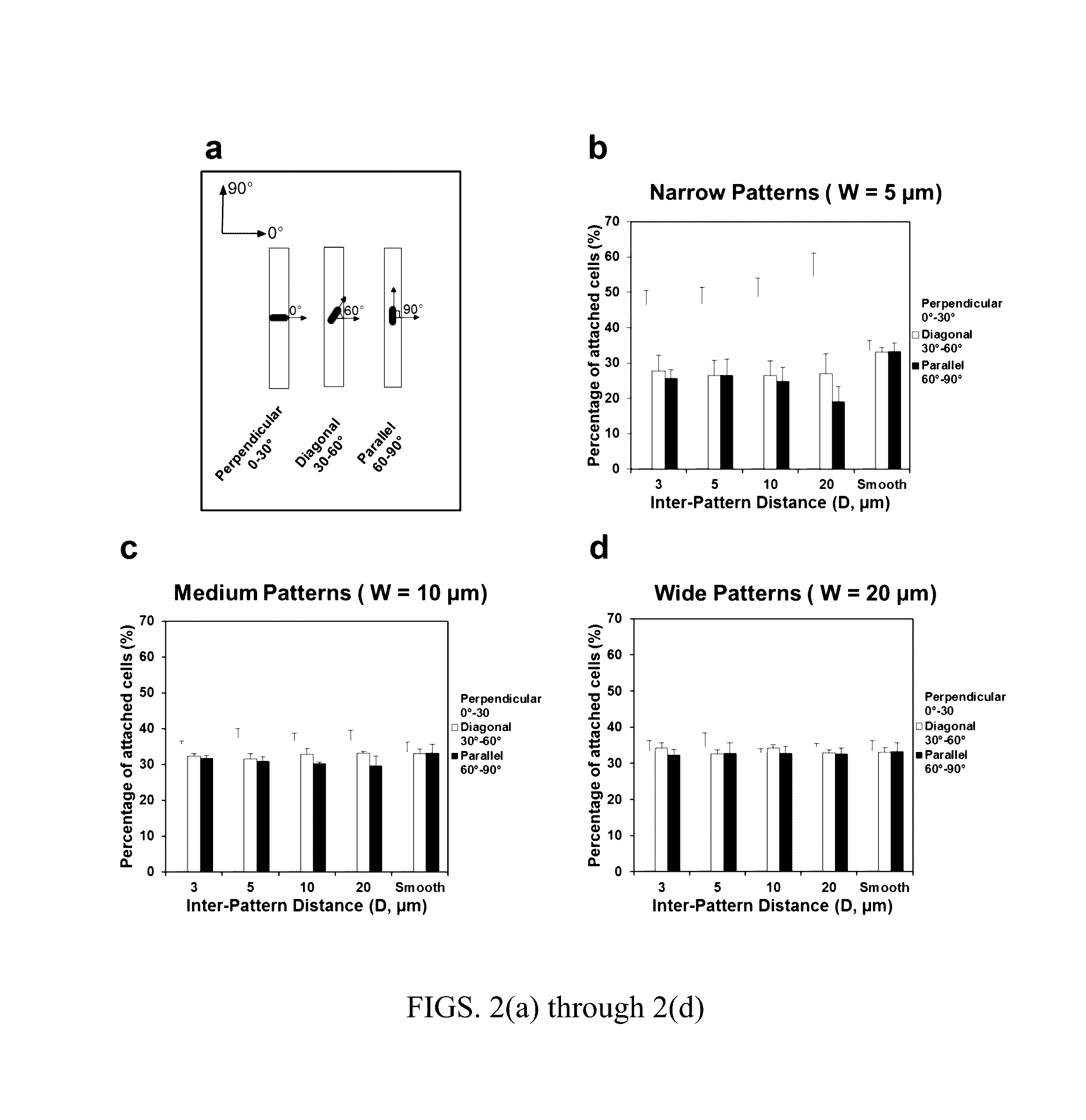 Antifouling urinary catheters with shape-memory topographic patterns