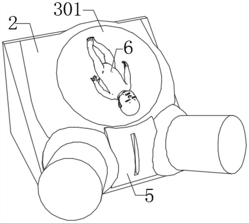 Delivery teaching device for pregnant women