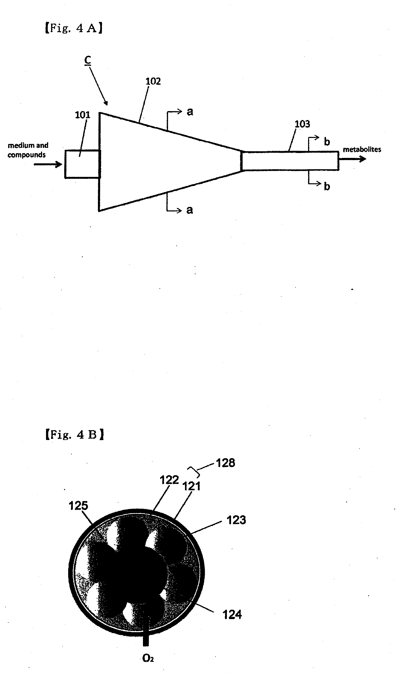 Method for culture of hepatocytes