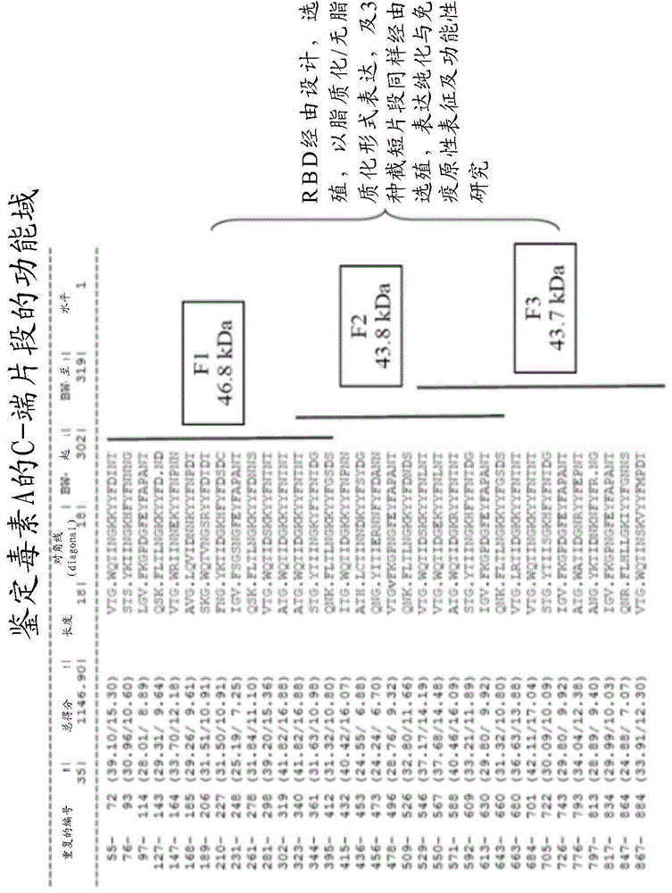 Compositions and methods for treating clostridium difficile-associated diseases