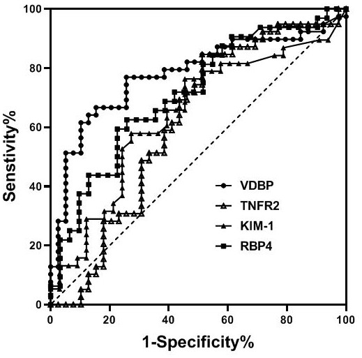 Diabetes kidney disease early warning model established based on synchronous detection of urine markers