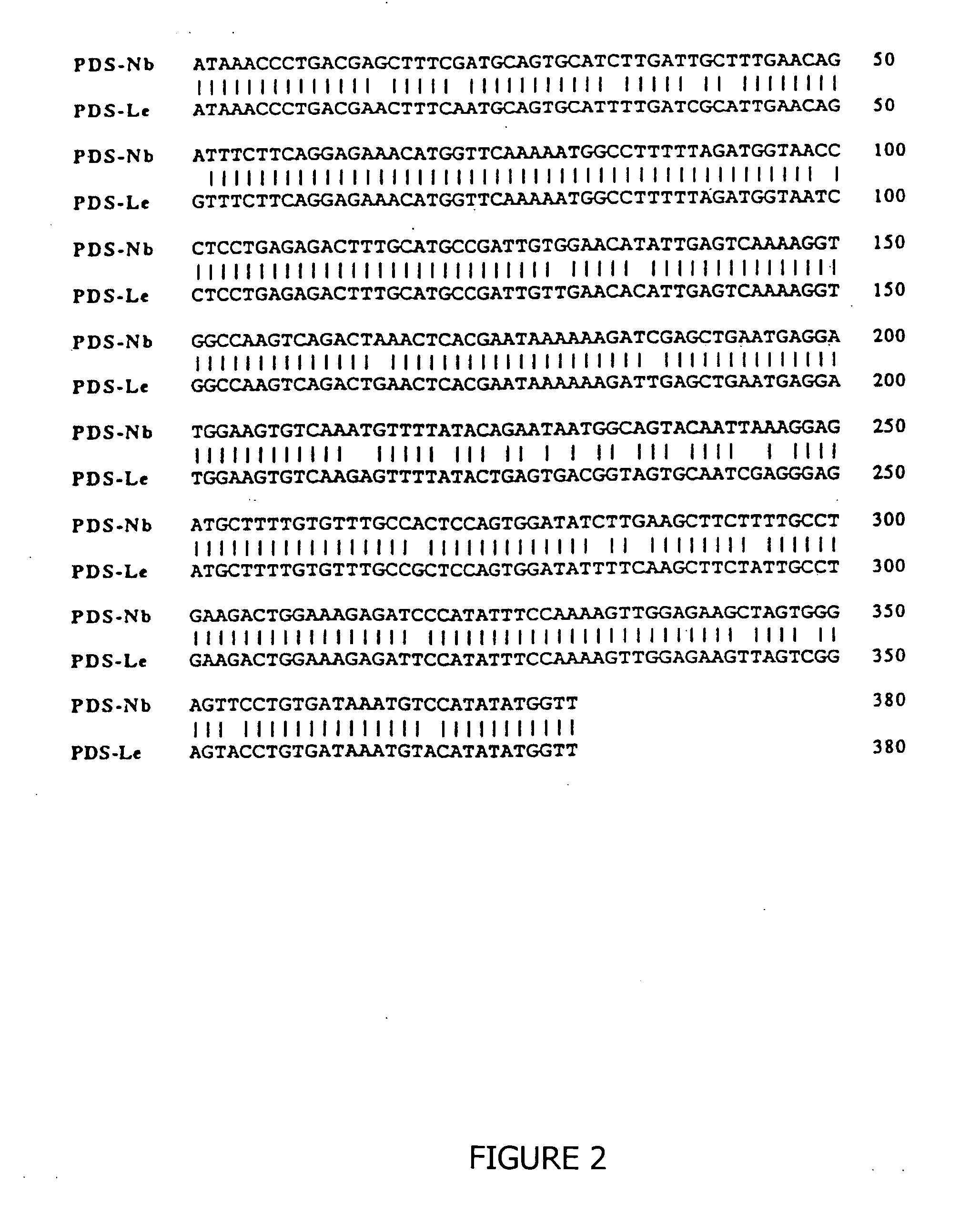 Cytoplasmic inhibition of gene expression