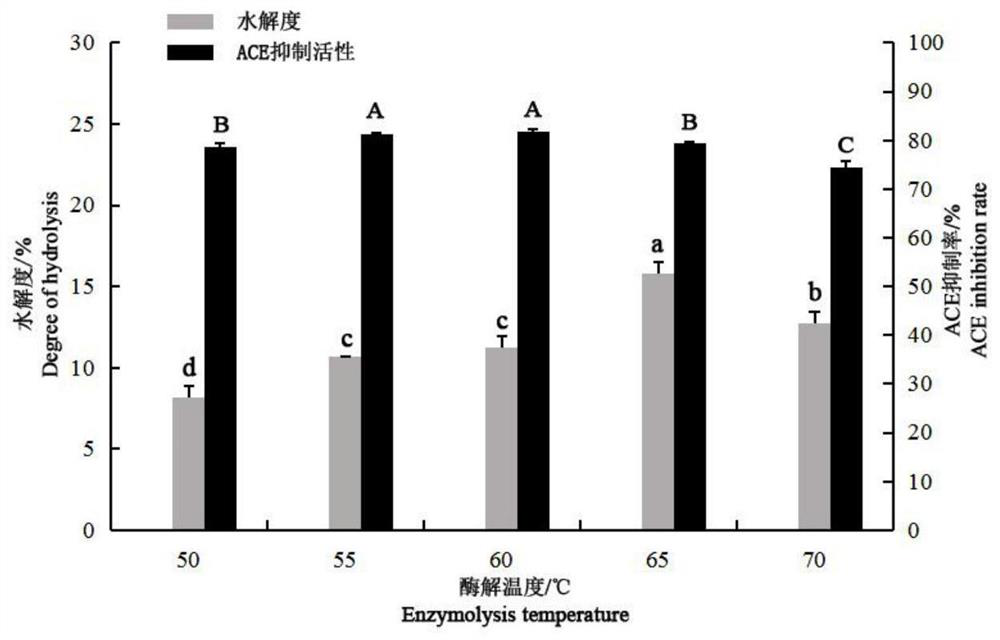 Method for preparing ACE inhibitory peptide by enzymolysis of mulberry leaf protein