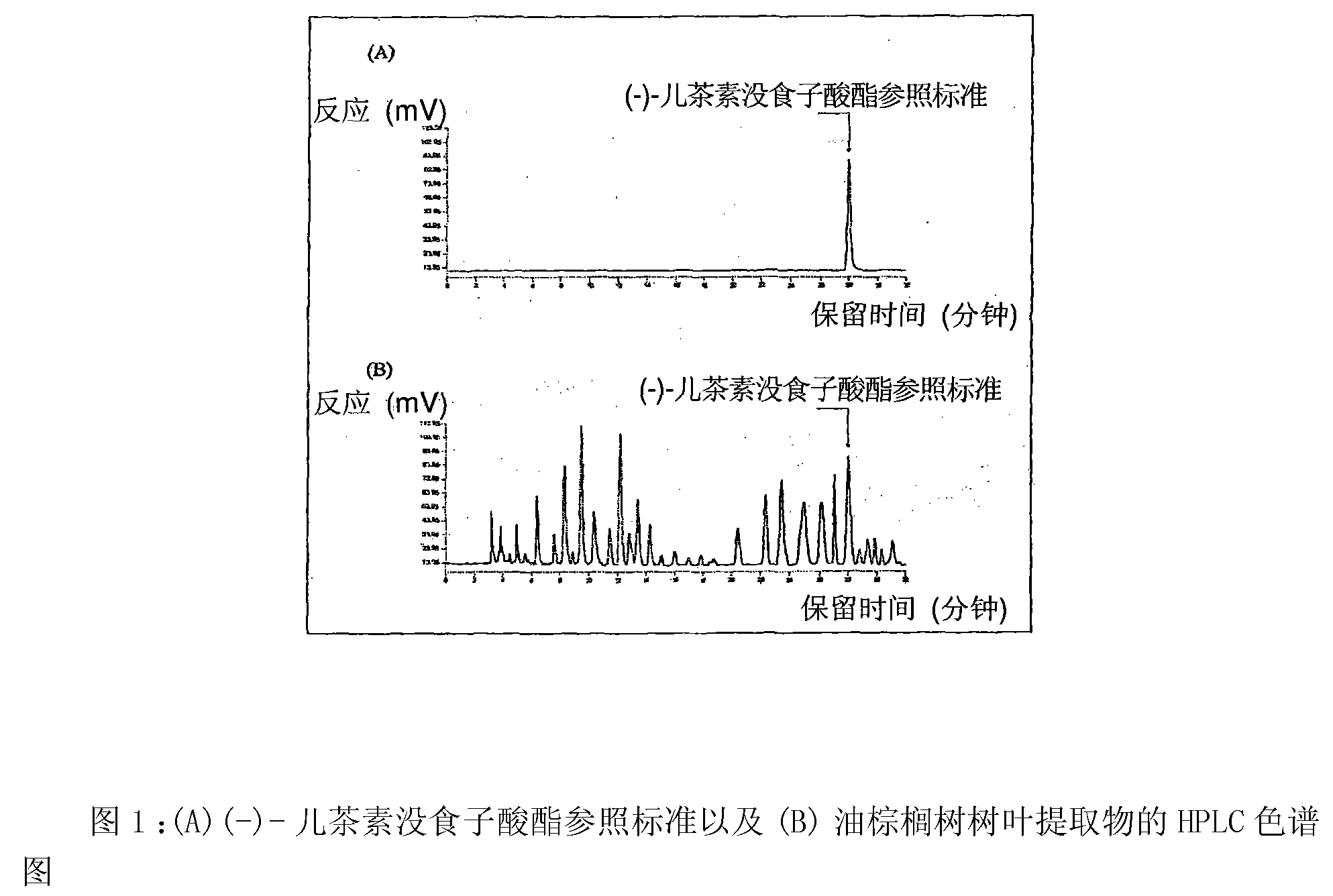 Extract from oil palm leaves comprising phenolic acids