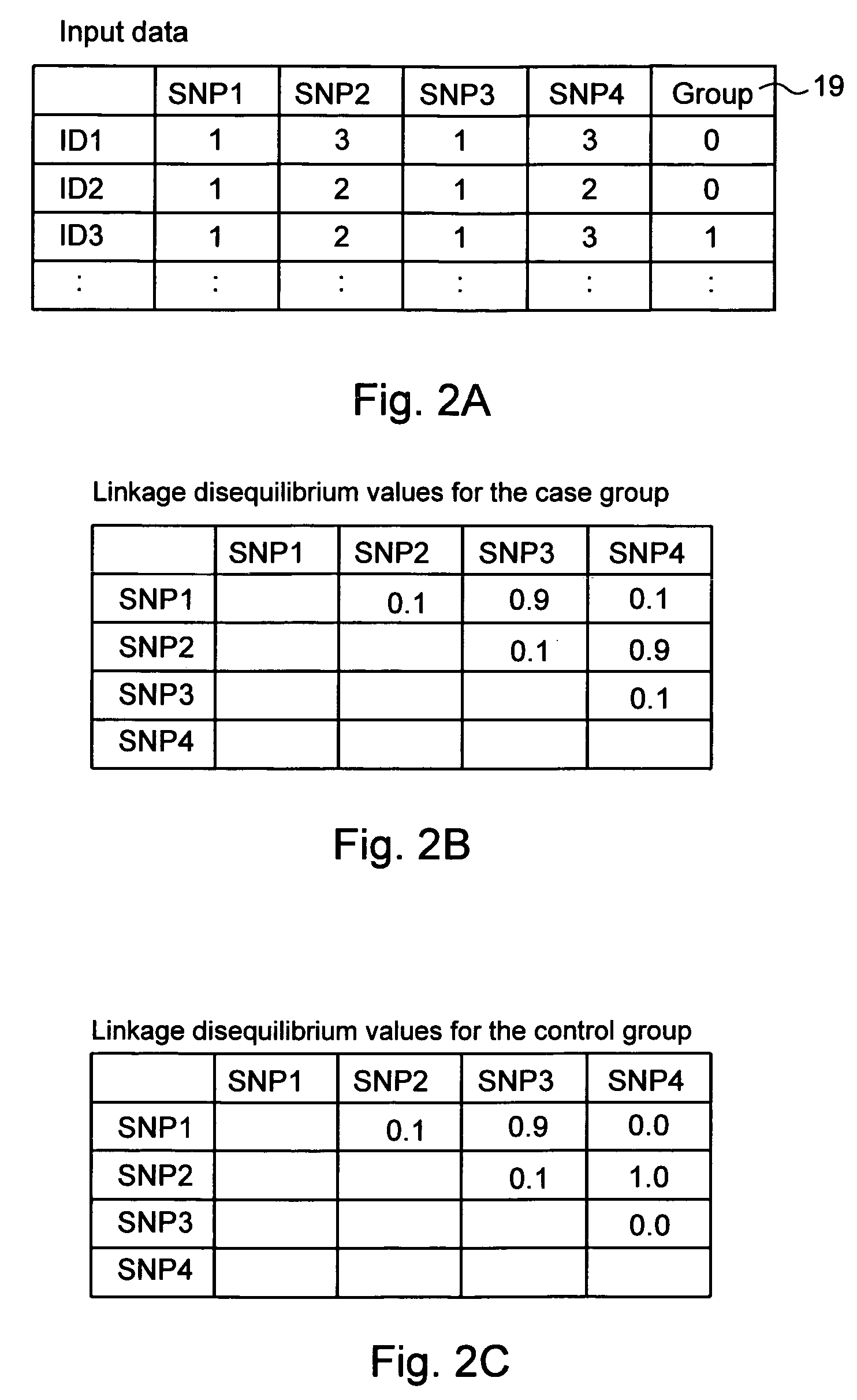 Computer software program for graphically displaying genetic linkage disequilibrium, and the method thereof