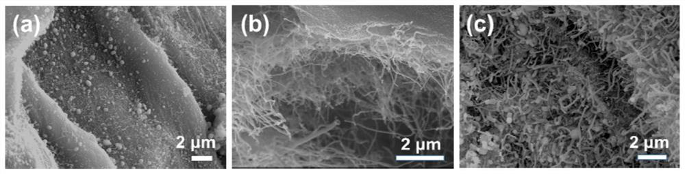 Preparation method and application of loofah sponge biomorphic supported nitrogen-doped carbon nanotube coated iron nanoparticle Fenton-like catalyst