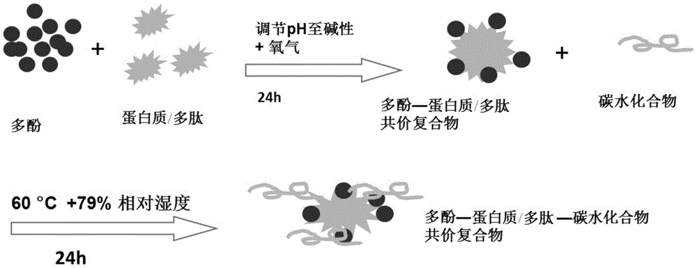 Preparation method and application of polyphenol-protein/polypeptide-carbohydrate covalent complexes