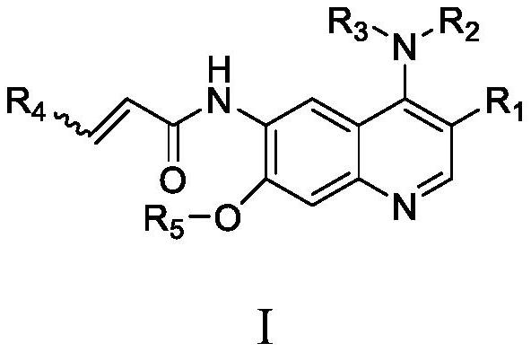 Quinoline derivative containing furyl and preparation method and application thereof