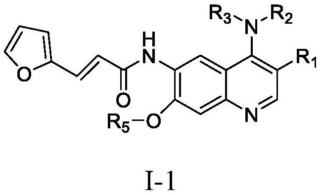 Quinoline derivative containing furyl and preparation method and application thereof