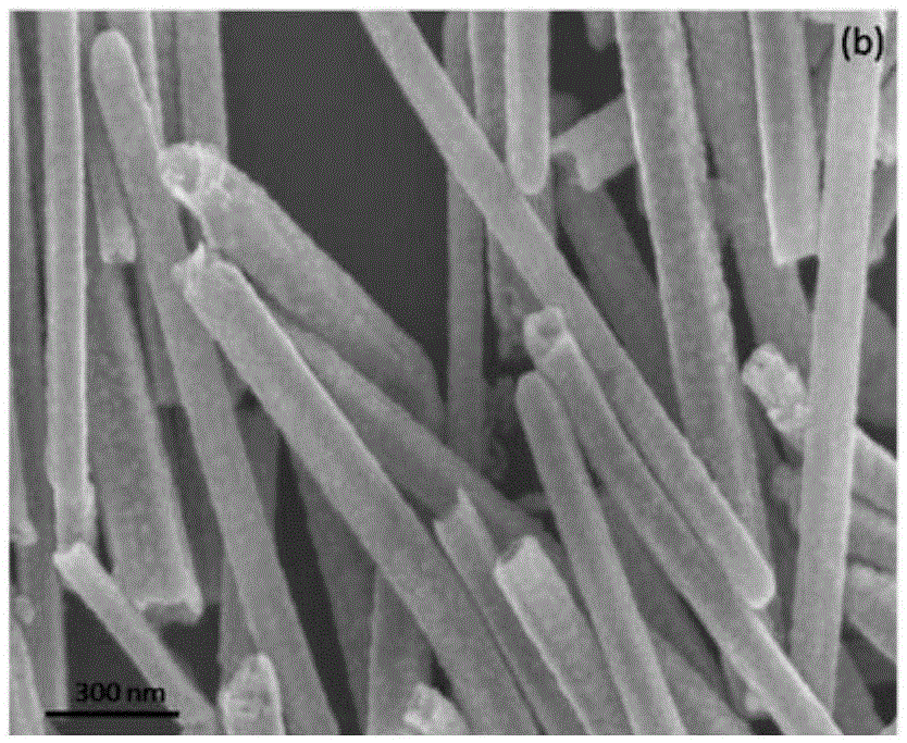 PdAg alloy nanotube positive catalyst of direct direct ethanol fuel cell and preparation method of PdAg alloy nanotube positive catalyst