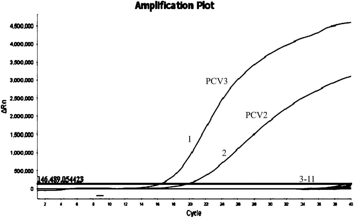 Double FQ-PCR detection kit for identifying PCV (porcine circoviruses) type 2 and type 3