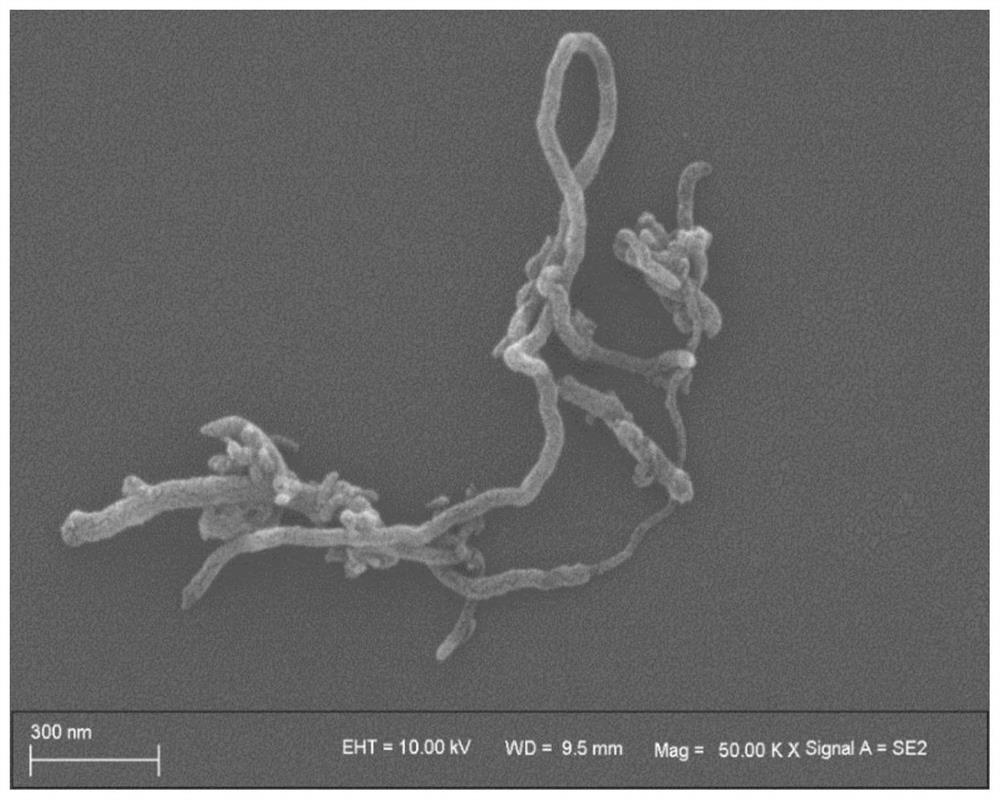 A kind of hyperbranched polymer based on carbon nanotube and preparation method thereof