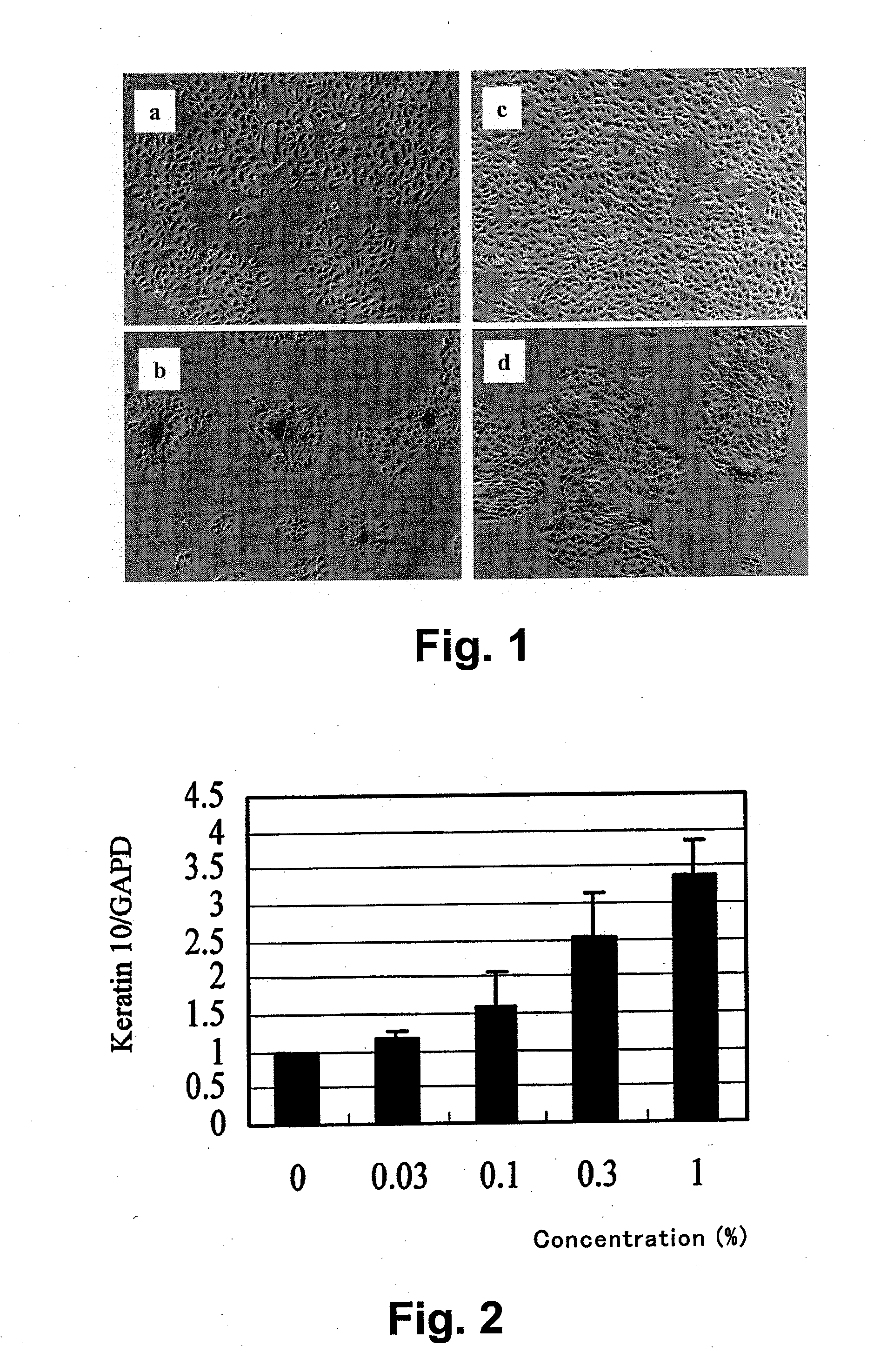 Promoter of differentiation and keratinization of epidermic cell and functional beverage/food for promotion of keratinization of epidermis