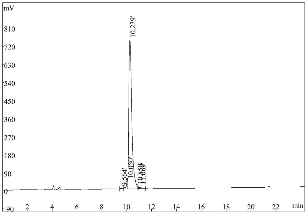 Novel small peptide IT-9 and application thereof
