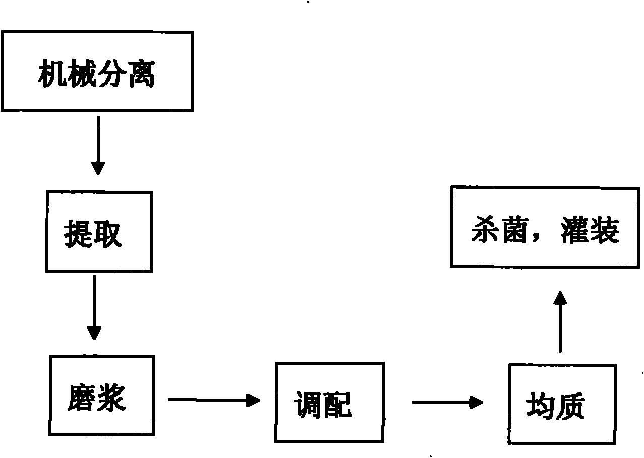 Watermelon juice drink and method for preparing same