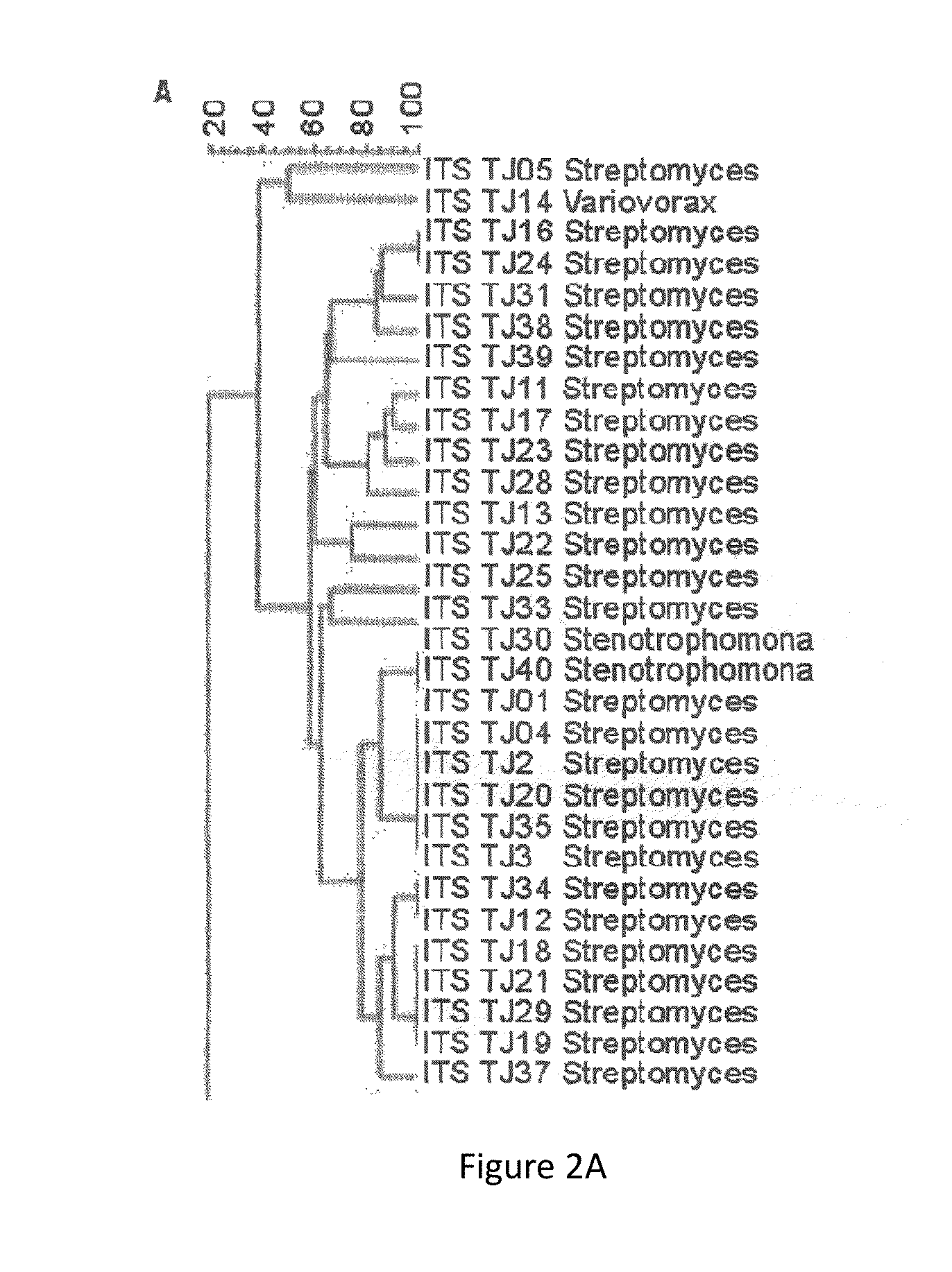 Reduction of non-starch polysaccharides and alpha-galactosides in soy flour by means of solid-state fermentation using cellulolytic bacteria isolated from different environments