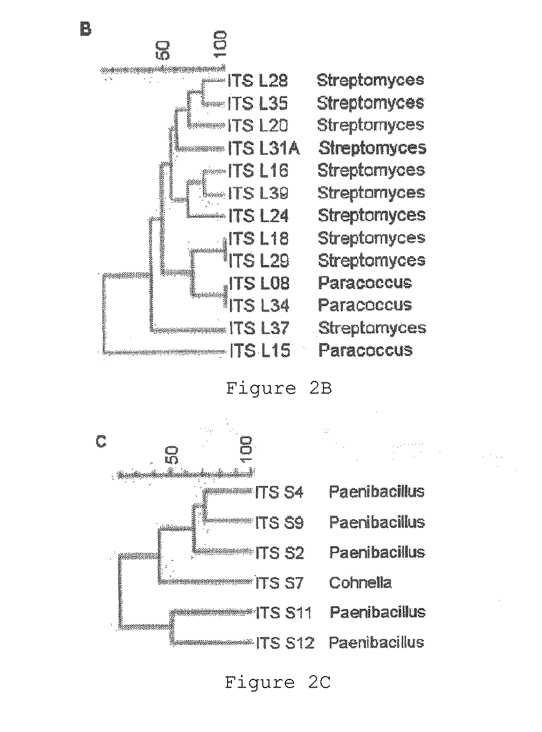 Reduction of non-starch polysaccharides and alpha-galactosides in soy flour by means of solid-state fermentation using cellulolytic bacteria isolated from different environments