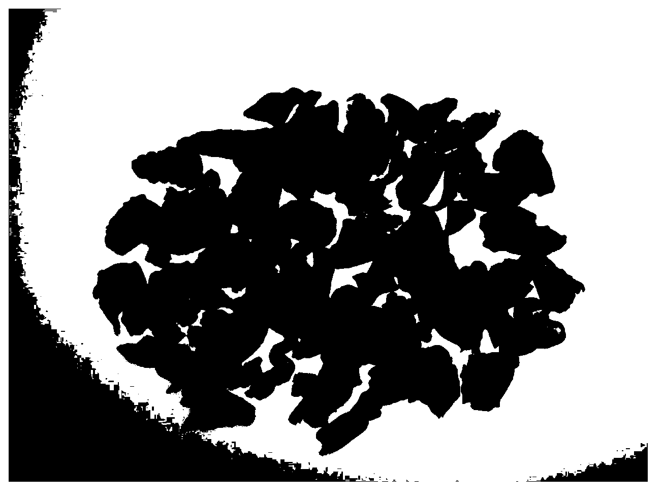 Mechanical chicken's gizzard membrane processing method