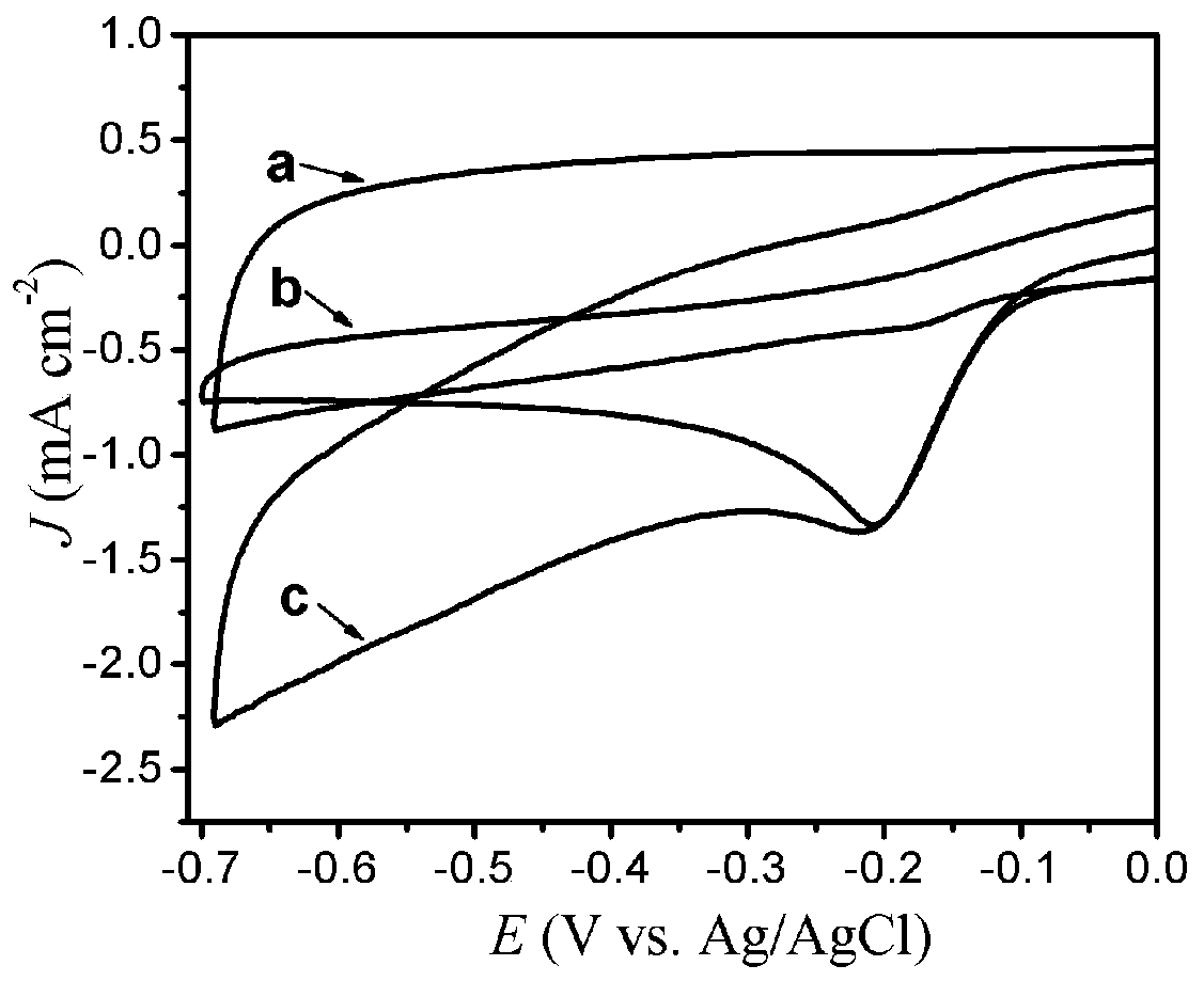 Preparation method and application of nitrogen and phosphorus co-doped porous carbon