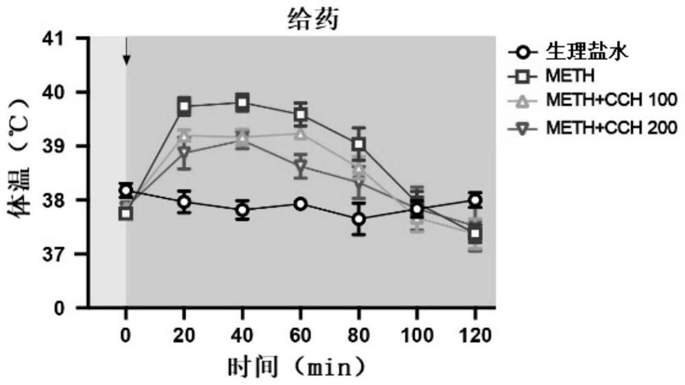 Application of hydrogen and hydrogenated coral calcium in preparation of medicines for treating hyperpyrexia and mental disorder caused by methylamphetamine