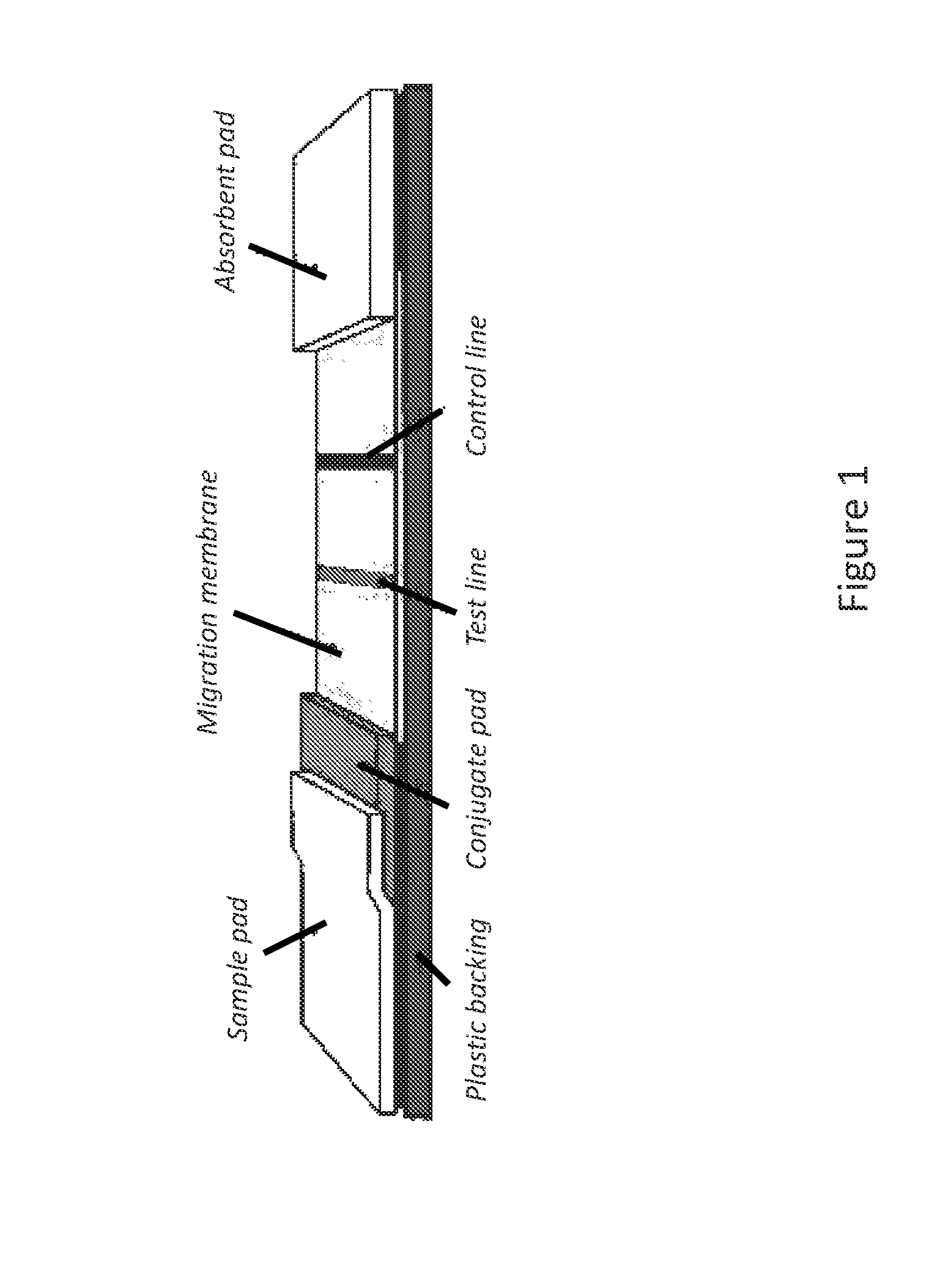 System for detecting infection in synovial fluid