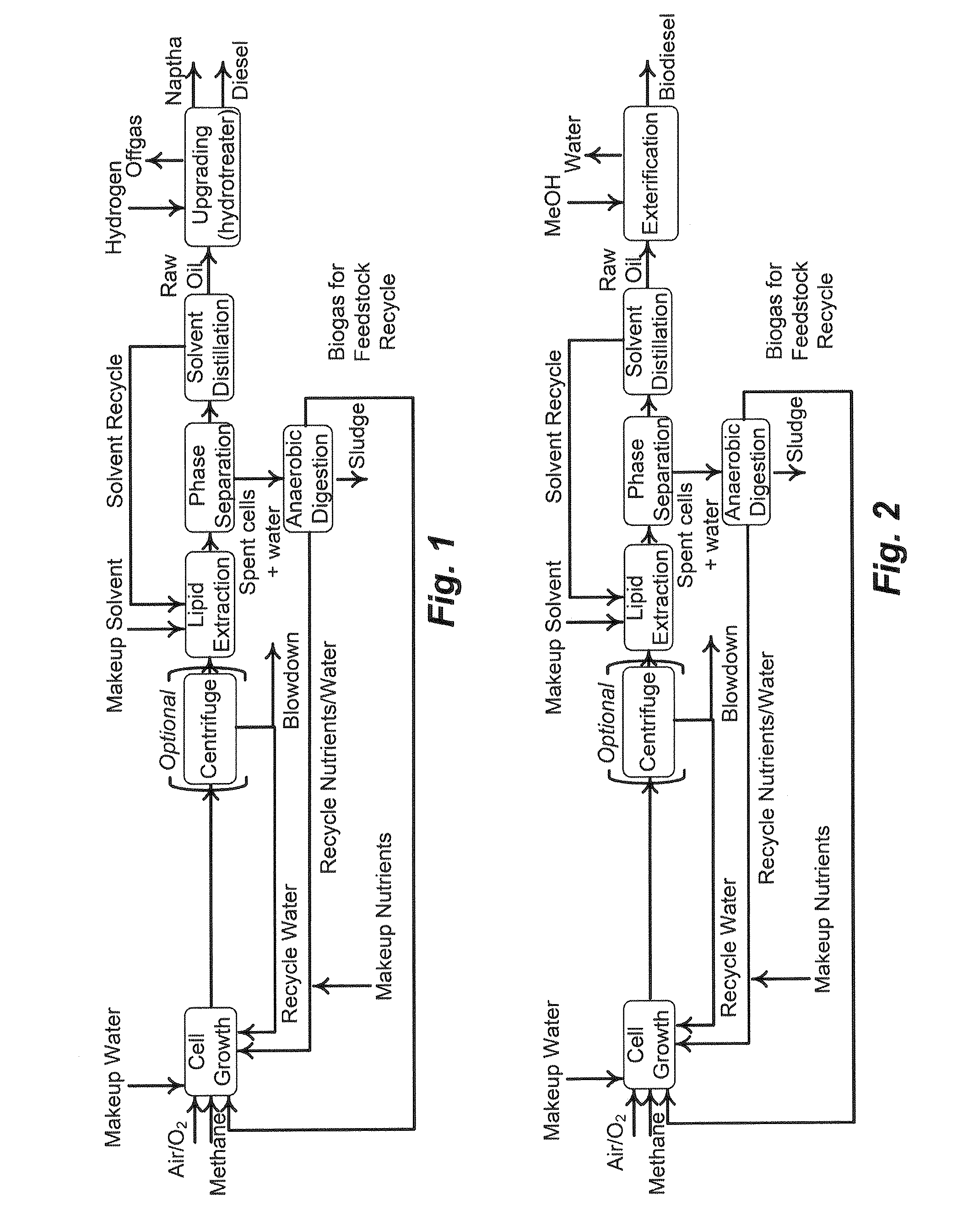 Biorefinery system, methods and compositions thereof