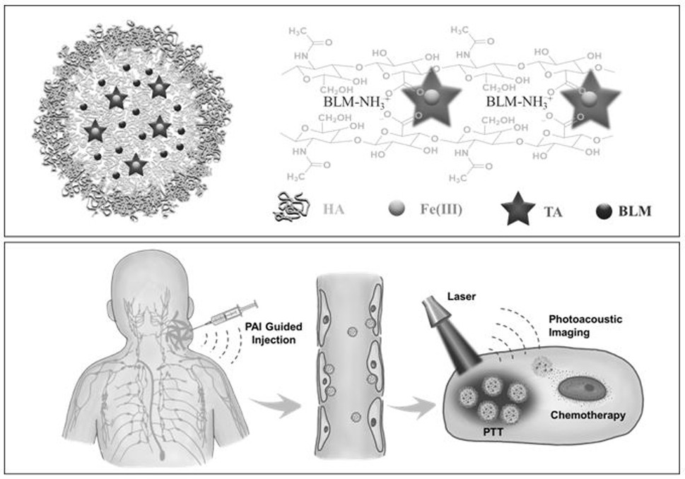 Targeted nano-drug delivery system for photothermal-sclerosis combined therapy