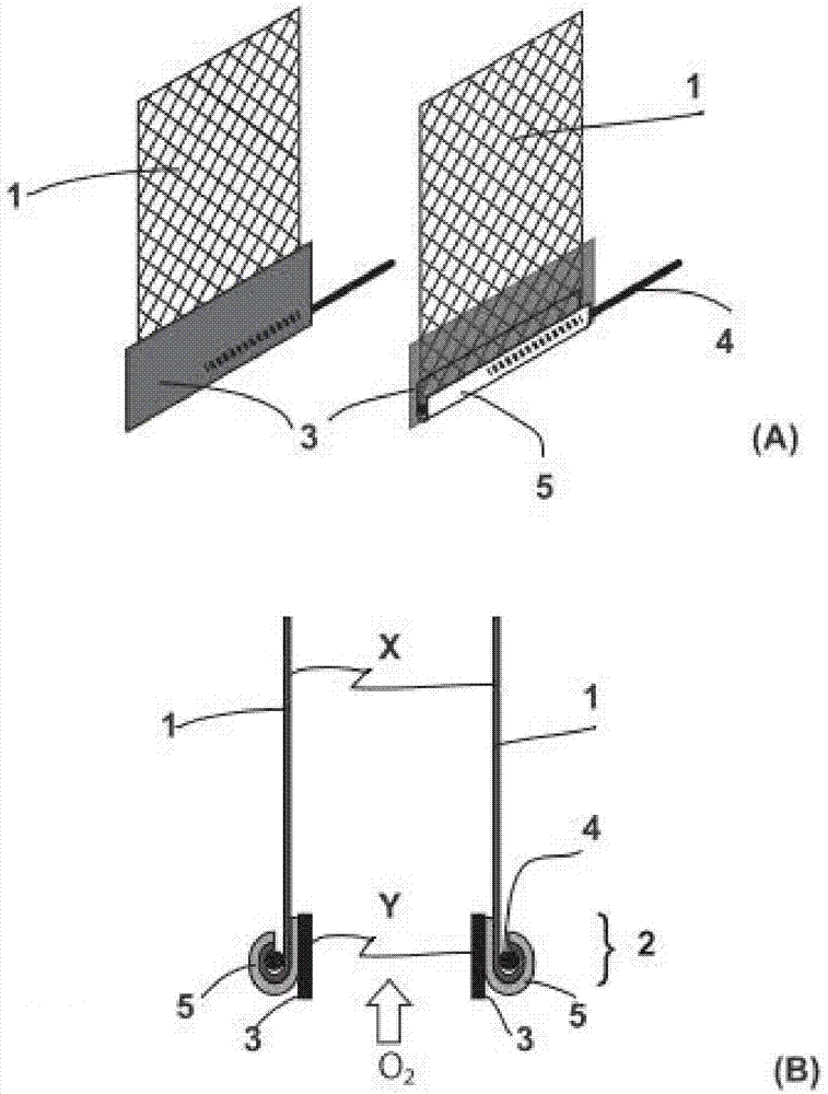 Electrode material of mesh shaped titanium oxide film, manufacturing method thereof, and application thereof