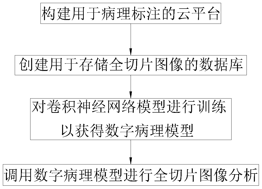 Auxiliary analysis method and system for pathological image of thyroid cancer cells based on deep learning