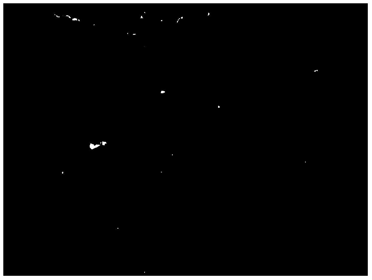 Auxiliary analysis method and system for pathological image of thyroid cancer cells based on deep learning