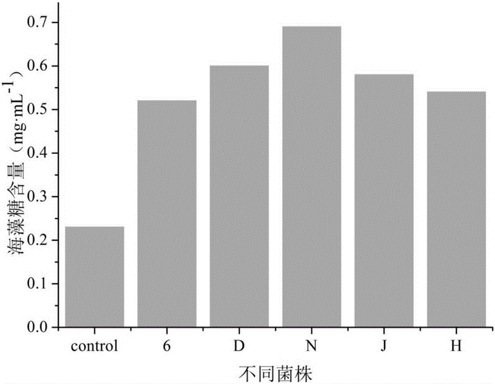 High secretion heat-resisting yeast genetically engineered bacterial strain and applications thereof