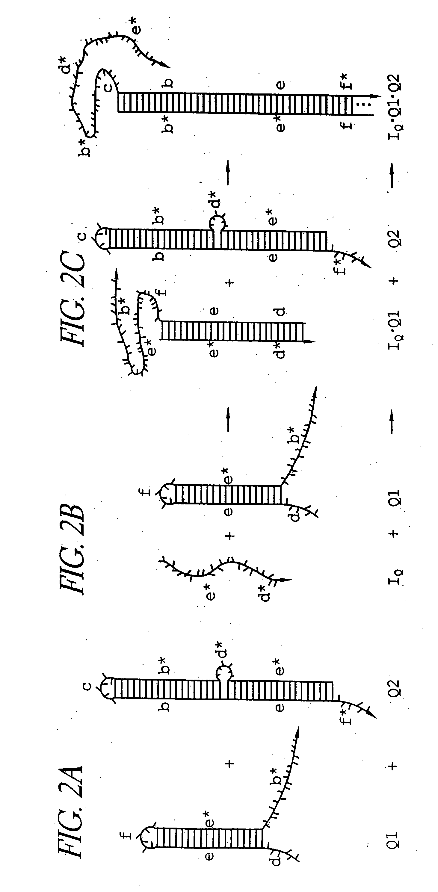 Hybridization chain reaction amplification for in situ imaging