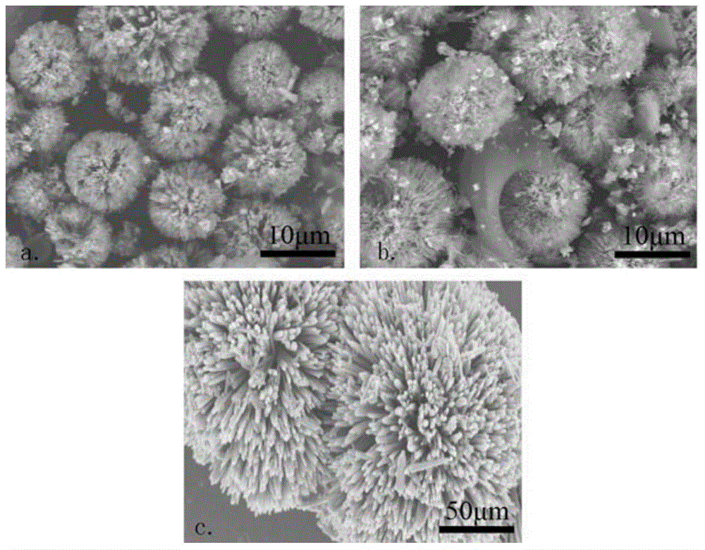 Ferrite/ polyaniline composite material and preparation method thereof