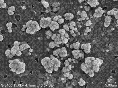 Preparation method of electrochemical sensor based on magnetic nanocomposite