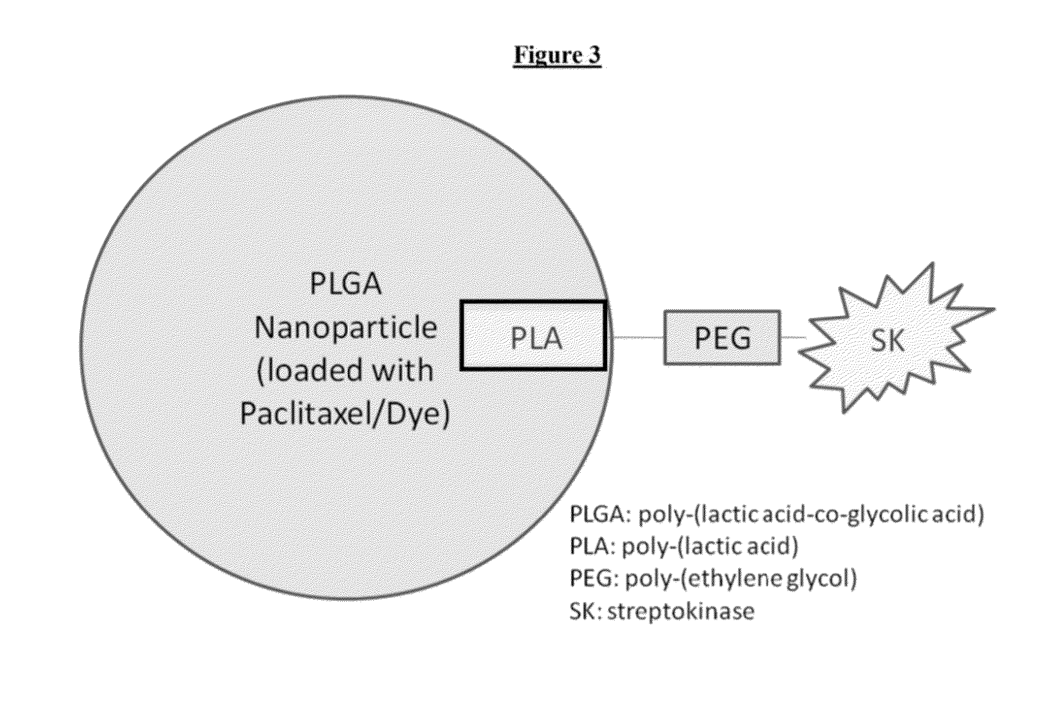 Functionalized nanoparticles and methods of use thereof