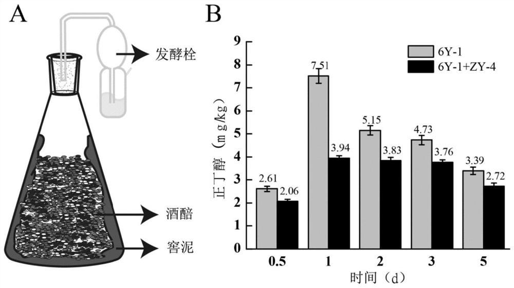 Clostridium tyrobutyricum for reducing content of n-butyl alcohol in Baijiu fermentation process