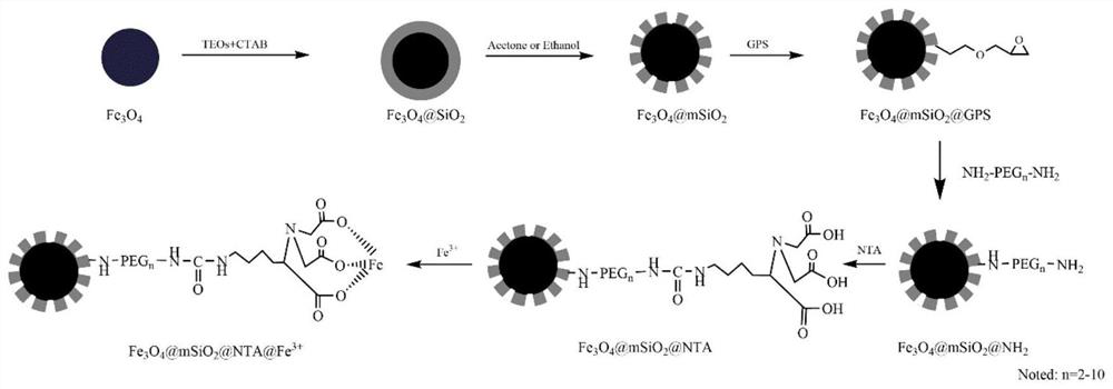 Nano magnetic microsphere with hollow core-shell structure as well as preparation method and application of nano magnetic microsphere